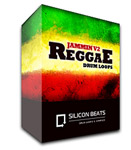 Reggae Drum Loops