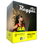 Reggae Drum Loops