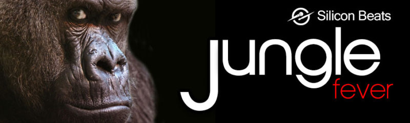 jungle-drum-loops-jungle-fever.jpg